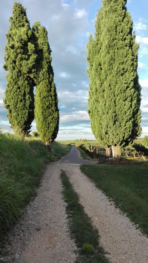 B&B Da Miriam Castelnuovo del Garda Luaran gambar