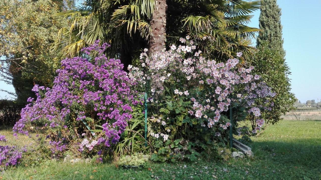 B&B Da Miriam Castelnuovo del Garda Luaran gambar